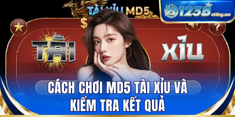 Cách chơi MD5 tài xỉu và kiểm tra kết quả